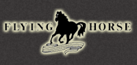 Flying horse-フライングホース